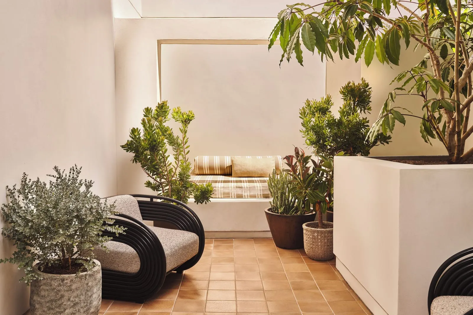 Garden Terrace King im Santa Monica Proper Hotel: ein ummauerter Patio mit einem Sessel mit schwarzem Rahmen, einem eingebauten Tagesbett mit gestreiften Kissen und Topfpflanzen auf Terrakottafliesen