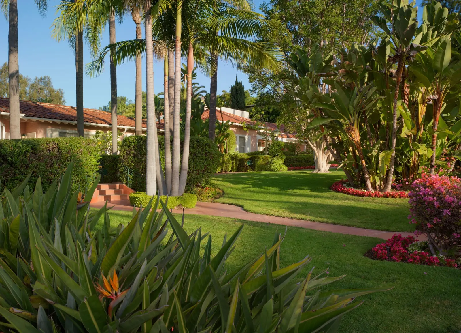 Bungalow Room at The Beverly Hills Hotel: a lawn with a curving path, tall palms and bird of paradise plants in front of low bungalows with red-tile roofs