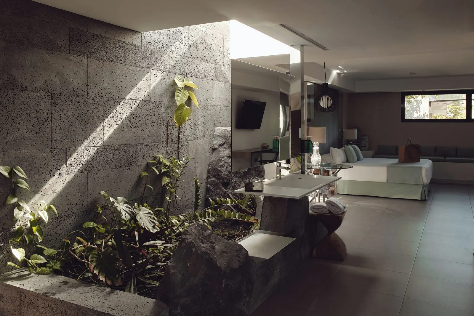 La Isla y el Mar Hotel Boutique: The Premium Suite with its indoor planter