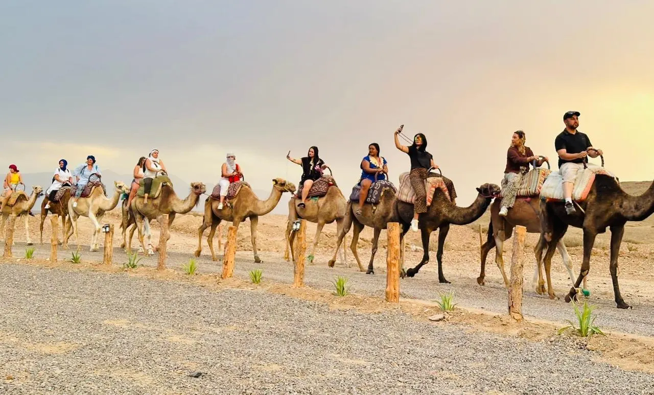 Guests riding a line of camels across gravel desert in the evening light