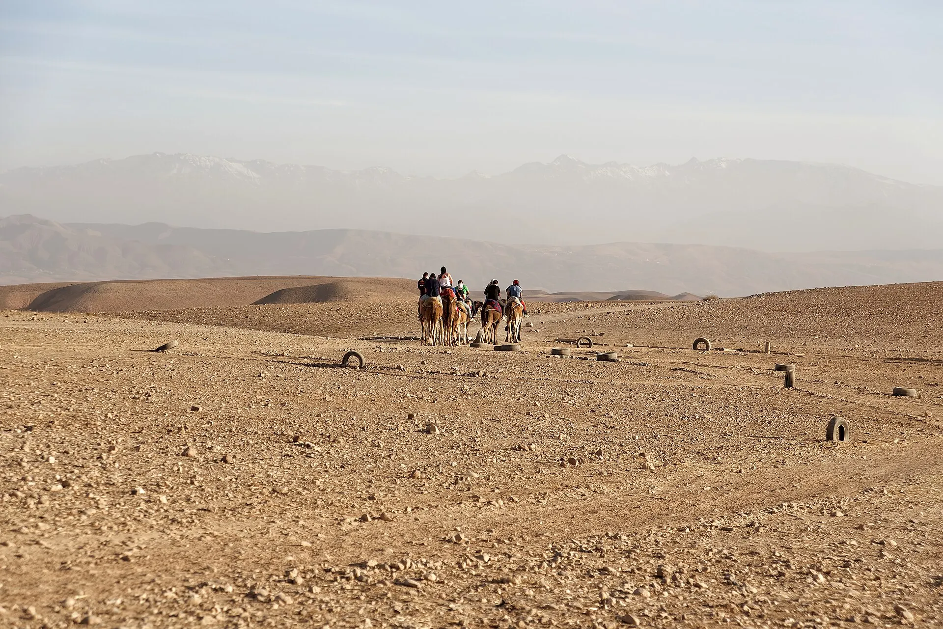 Camel riders crossing the stony Agafay desert, with the snow-capped High Atlas in the distance