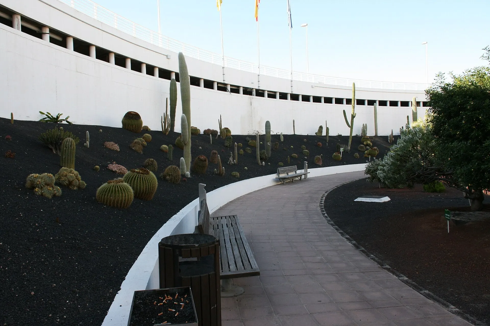 A curving footpath through a cactus garden beside the terminal at Lanzarote Airport