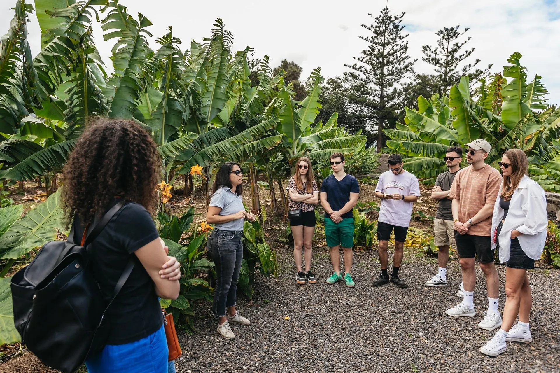 Visitors listening to the guide in the plantation