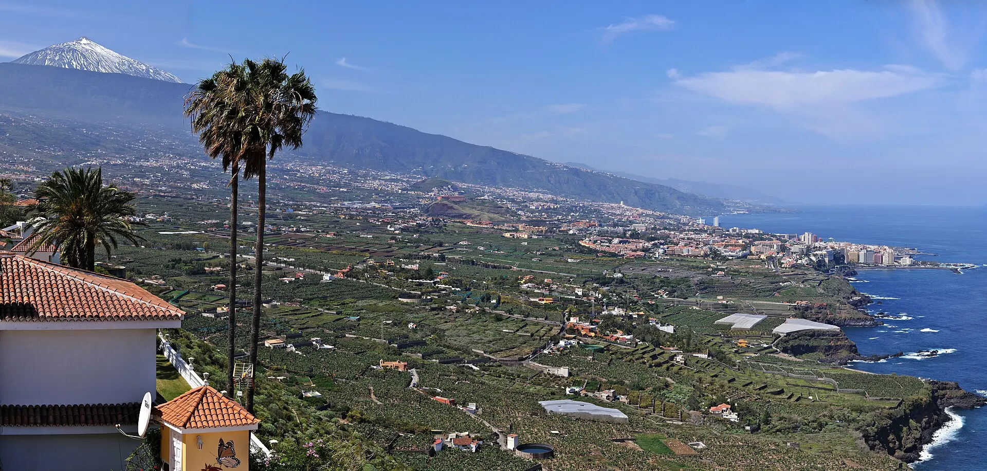 Banana plantations filling the Orotava valley down to Puerto de la Cruz, with Mount Teide under snow behind