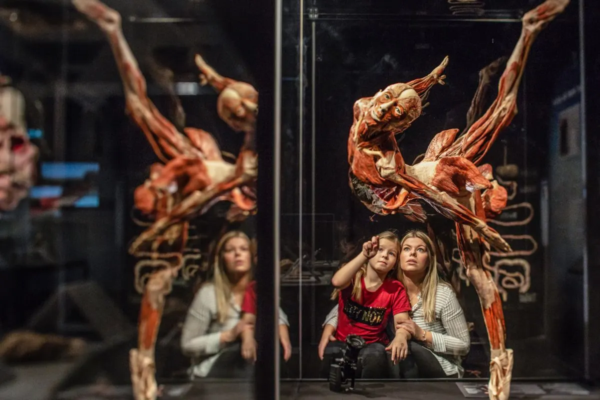 Two women and a child sitting on the floor between glass cases holding whole-body plastinates posed mid-leap in a Body Worlds exhibition