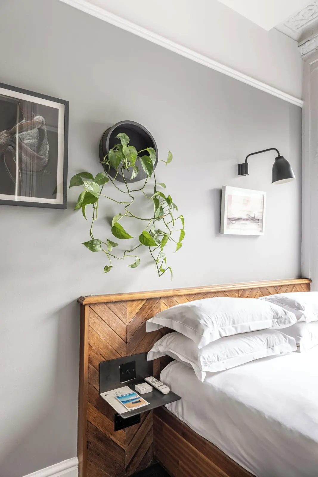 Snug No View room at The Pilgrm: the corner of the bed with a wood headboard, a hanging plant and a framed print