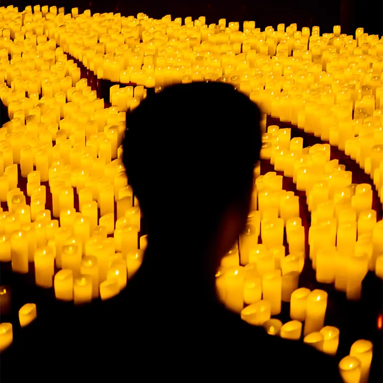 A member of the audience in silhouette facing rows of flameless candles during a Candlelight concert