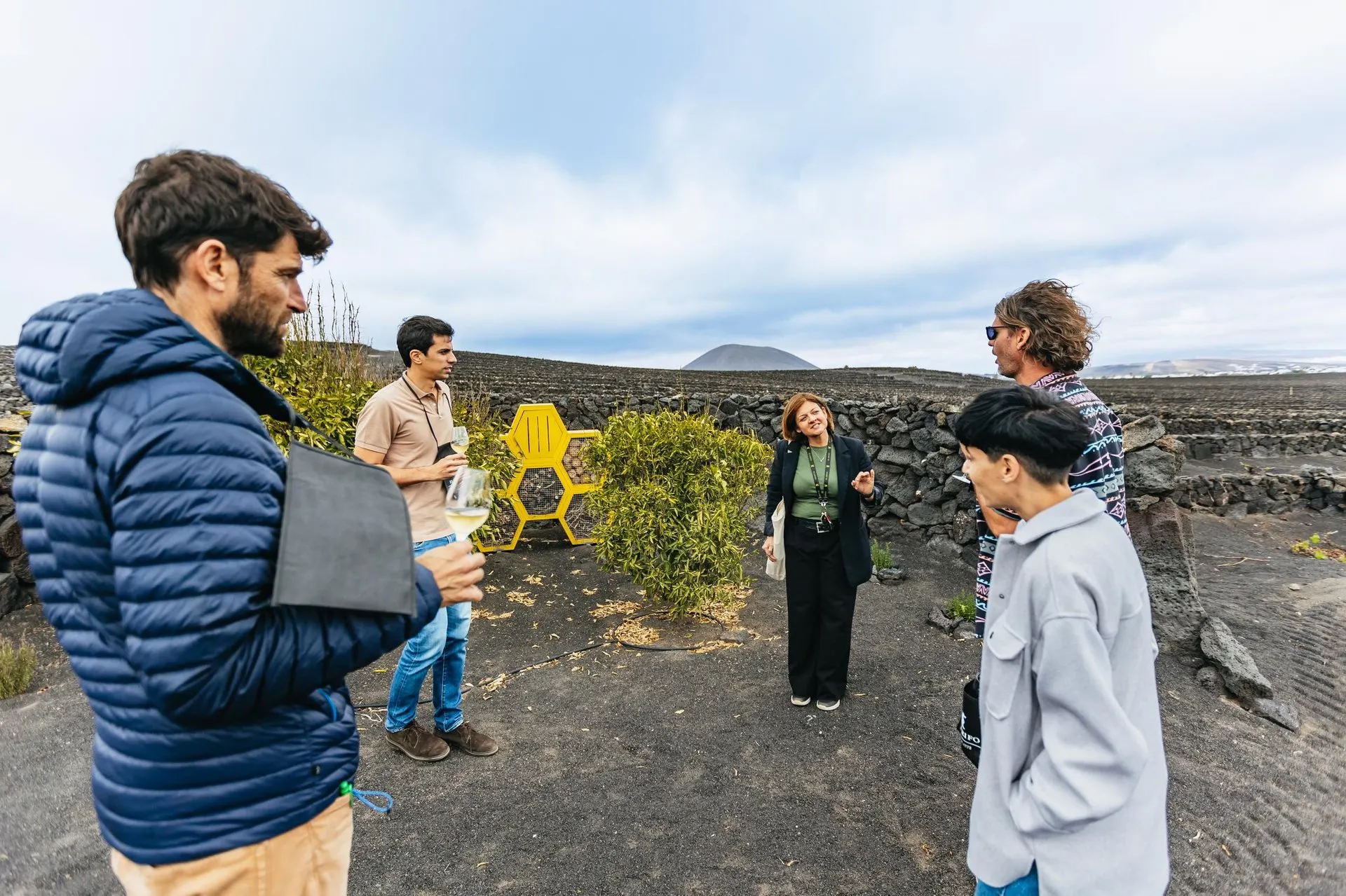 A guide talks to a small group among the walled vines on black volcanic ash, with a volcanic cone behind