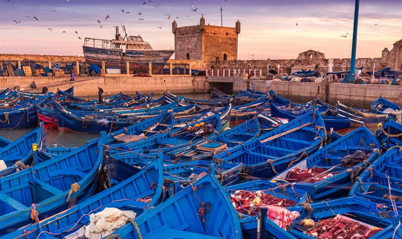 Rows of blue fishing boats with red nets packed into Essaouira's harbour at dusk, a fisherman on the quay and the Skala du Port tower behind