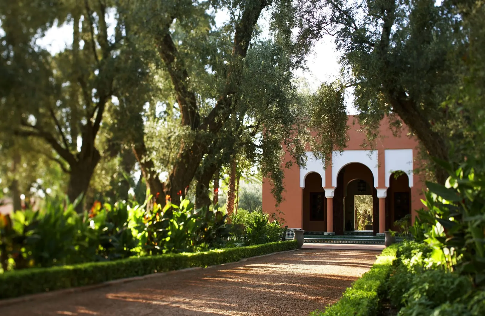 La Mamounia: An olive-shaded path through the gardens