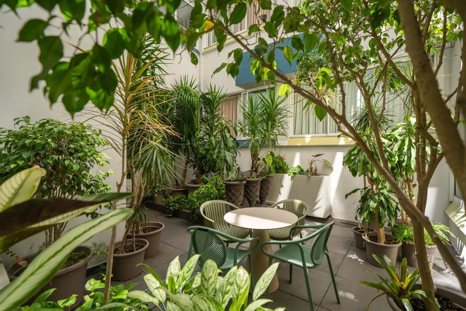 Hotel Madeira: A plant-filled patio with café tables