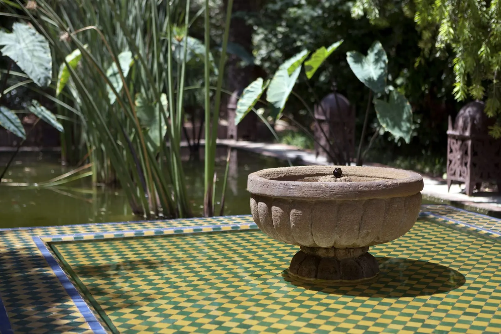 Dar Rhizlane: A fountain beside the papyrus water garden