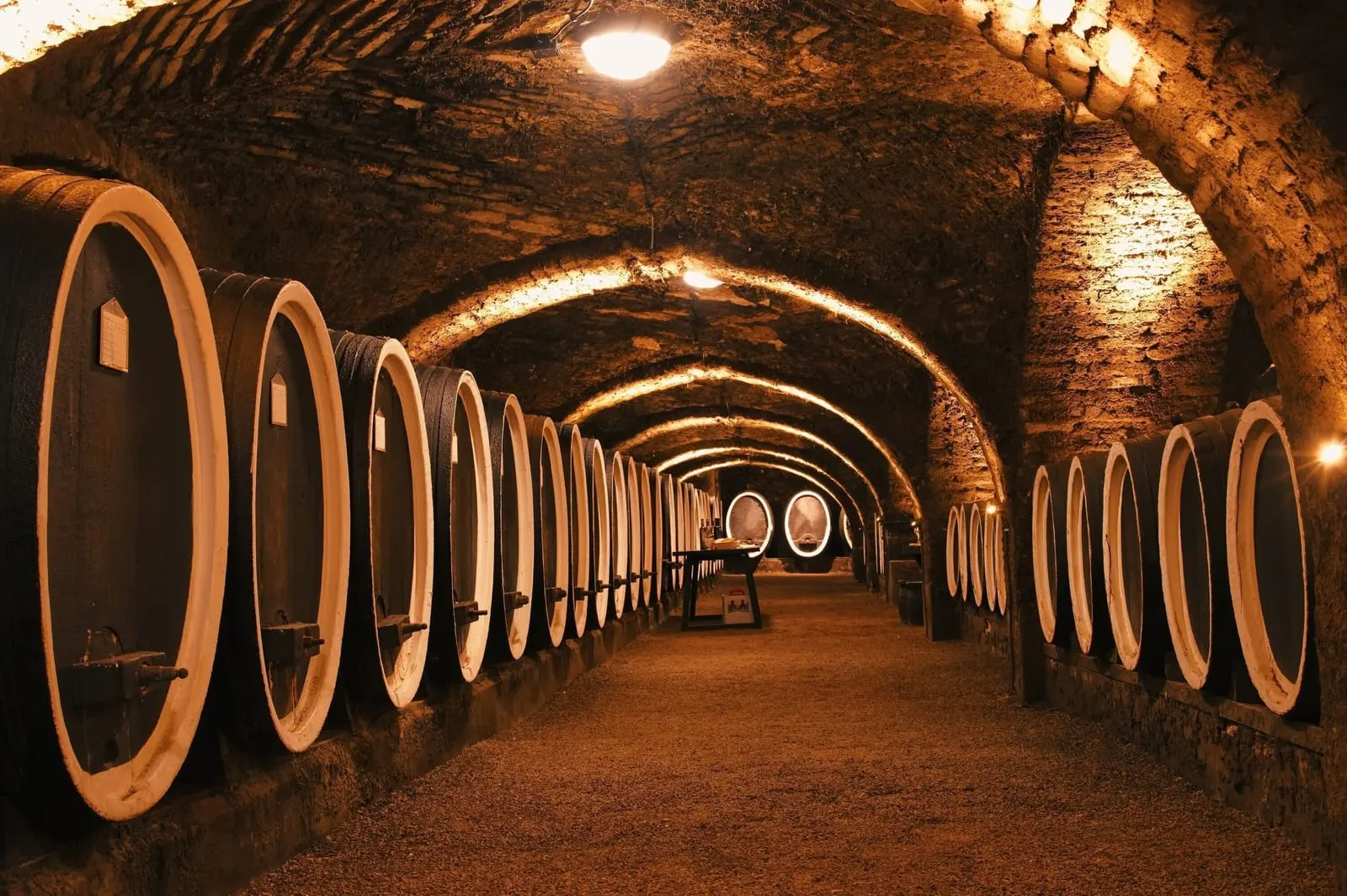 Casa da Companhia: The old wine cellar