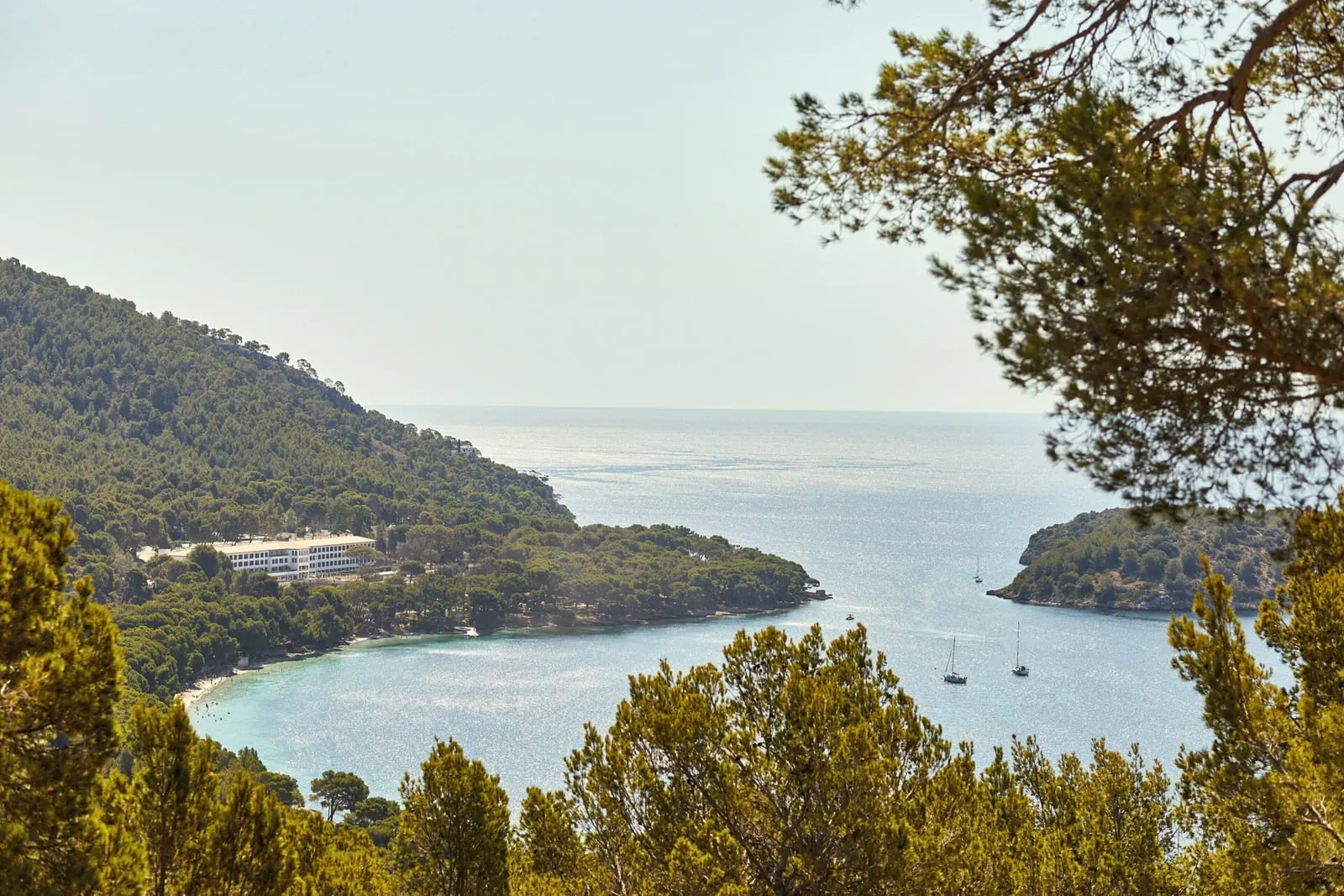 Mallorca: Formentor beach and its bay from the pines