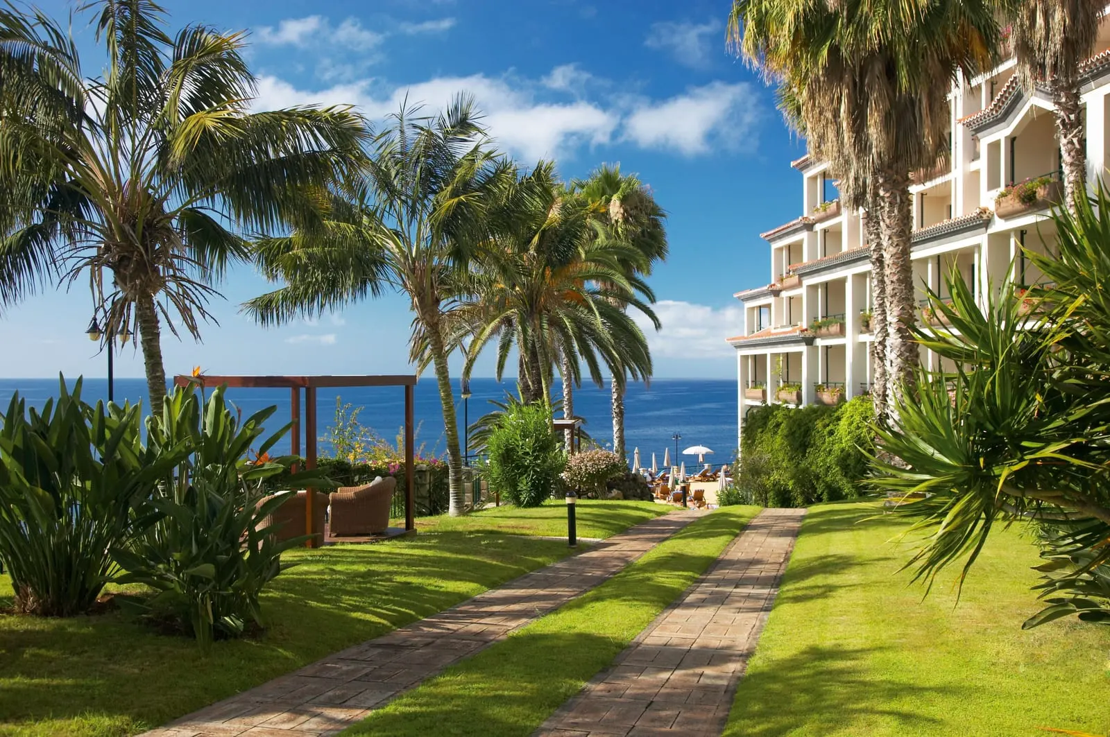 The Cliff Bay: Palms and lawns above the open Atlantic