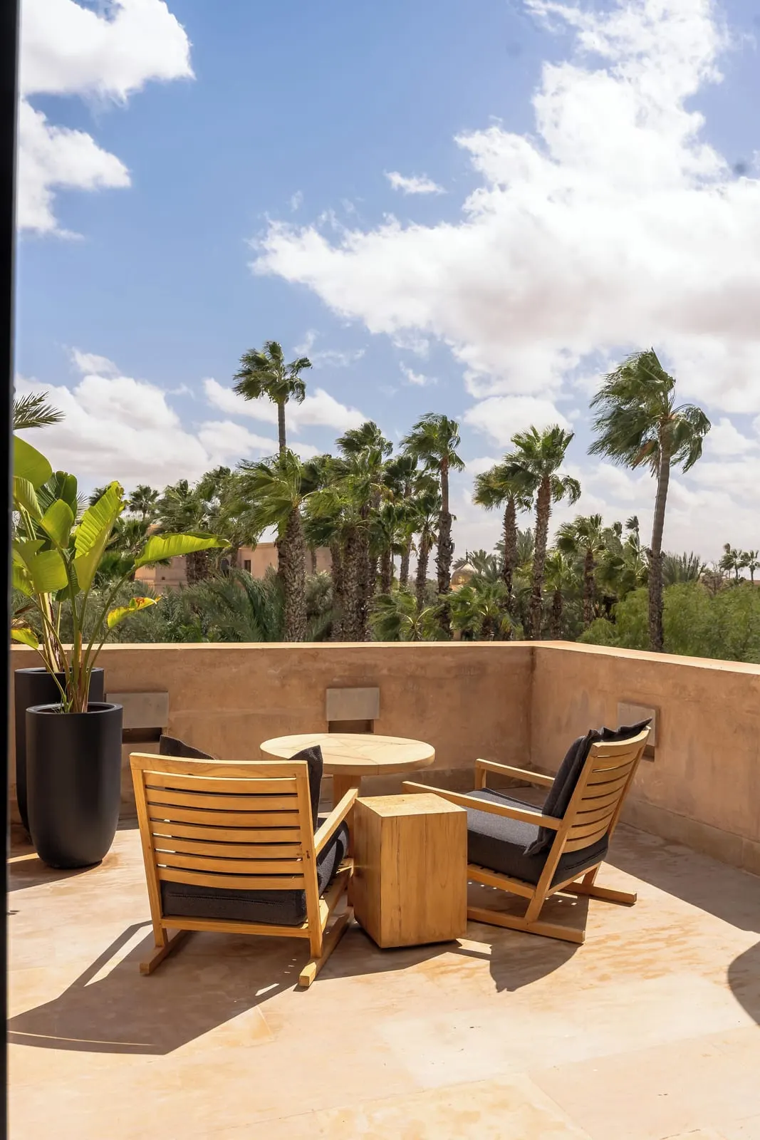 Palais Namaskar: A sunny terrace above the palms