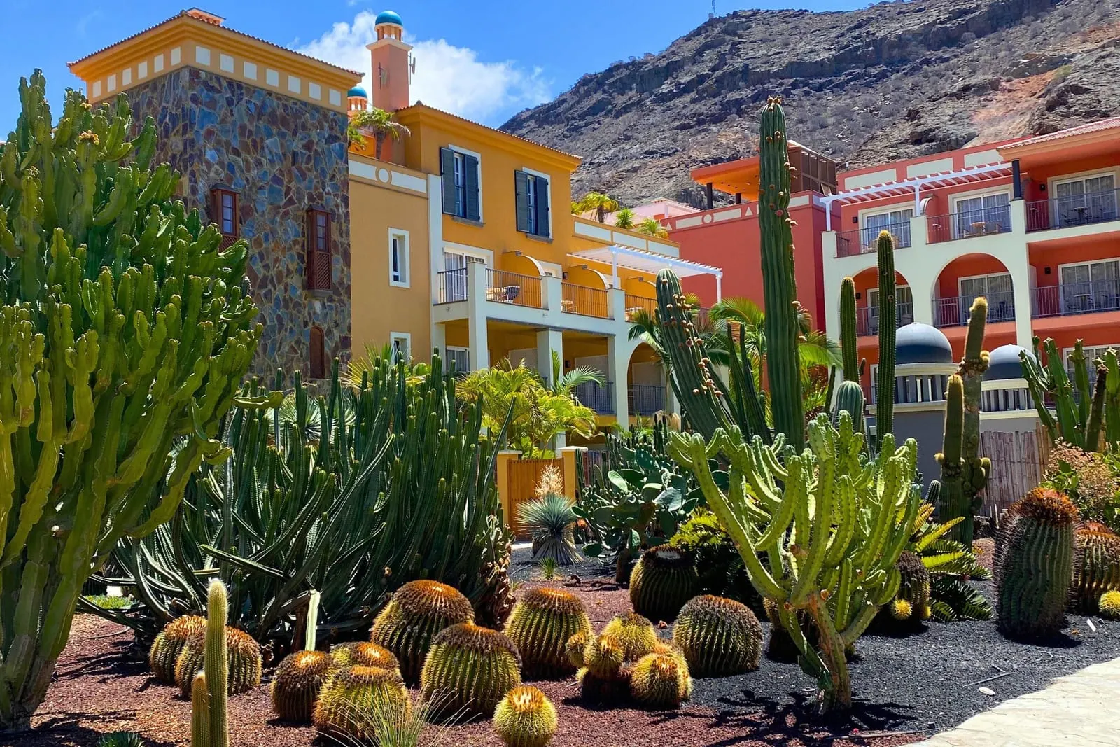 Hotel Cordial Mogán Playa: Canarian-style blocks behind the cactus garden