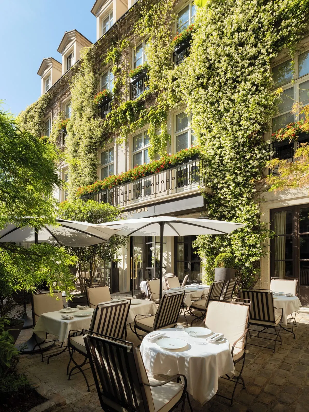 Le Pavillon de la Reine: The house front in flower above the terrace