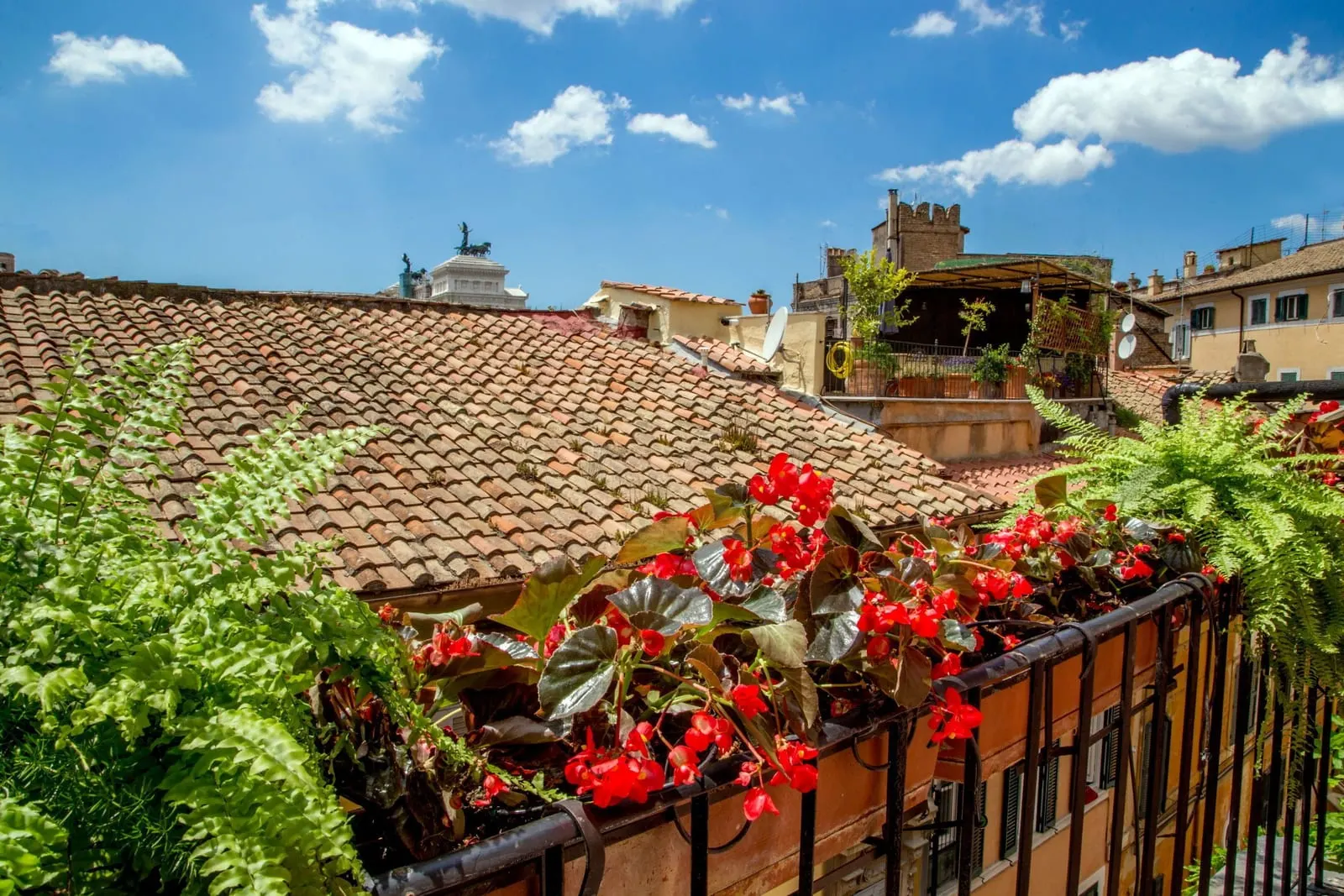 The Inn at the Roman Forum: Geraniums over the rooftops