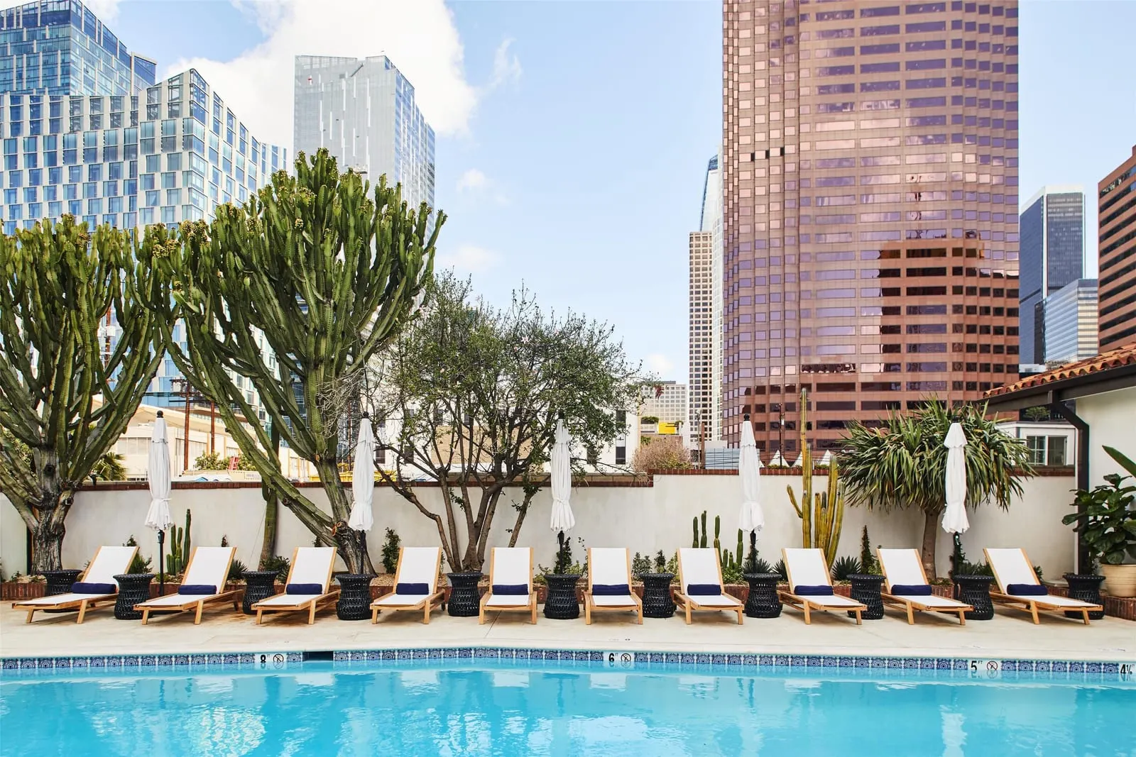 Hotel Figueroa: Candelabra euphorbias and towers beyond the pool