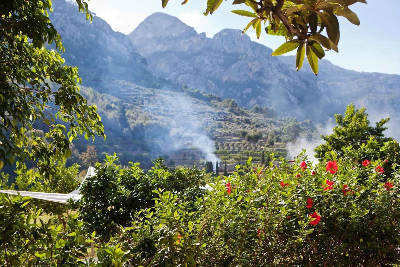 Fornalutx Petit Hotel: Terraced groves and rocky peaks facing the hotel