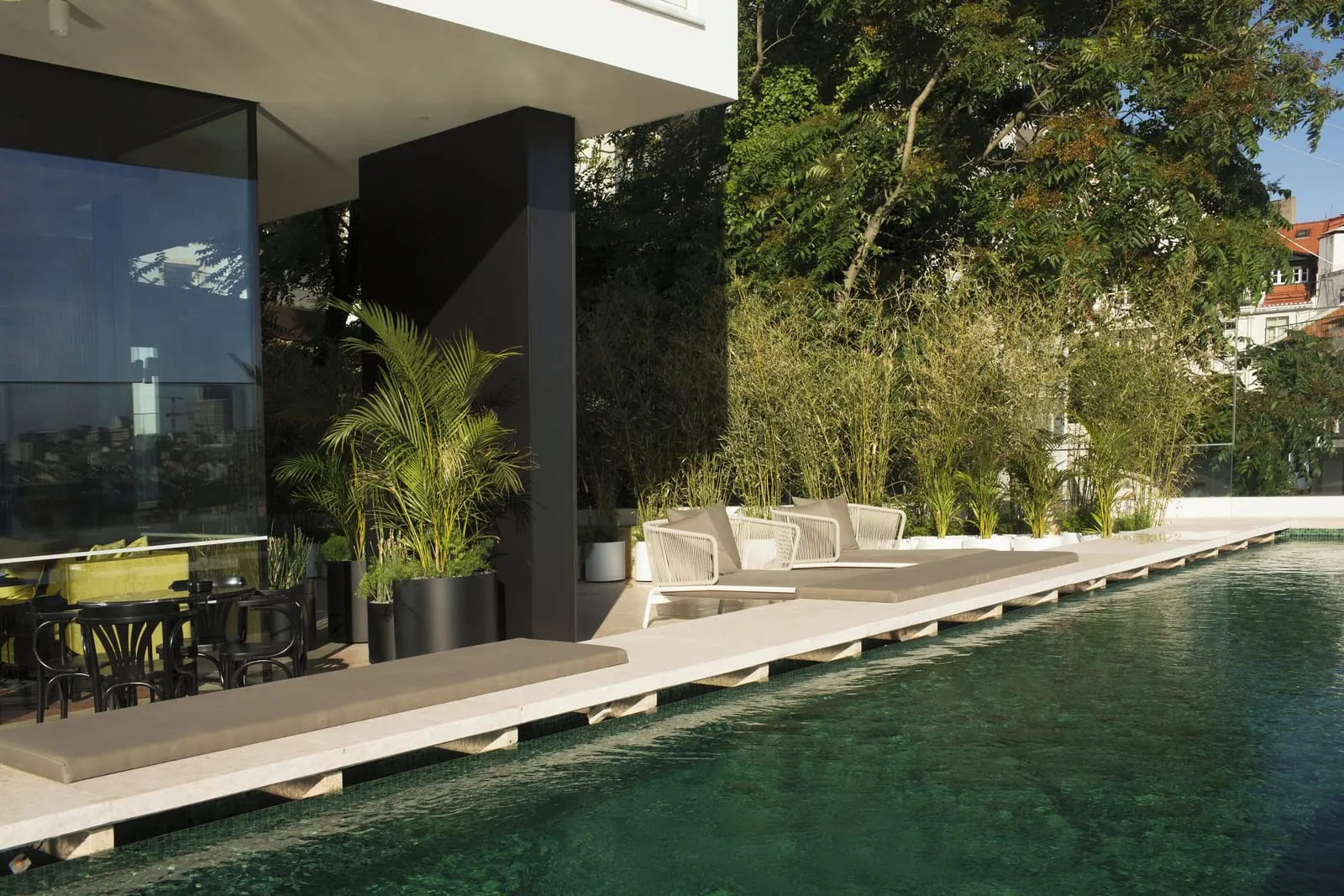 Memmo Príncipe Real: The rooftop pool by day