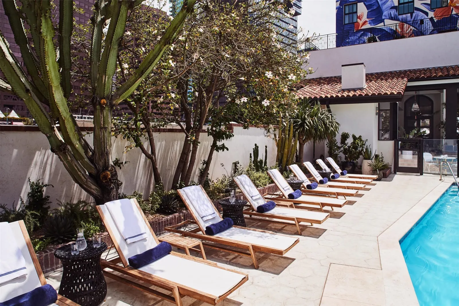 Hotel Figueroa: Sun loungers under candelabra euphorbias