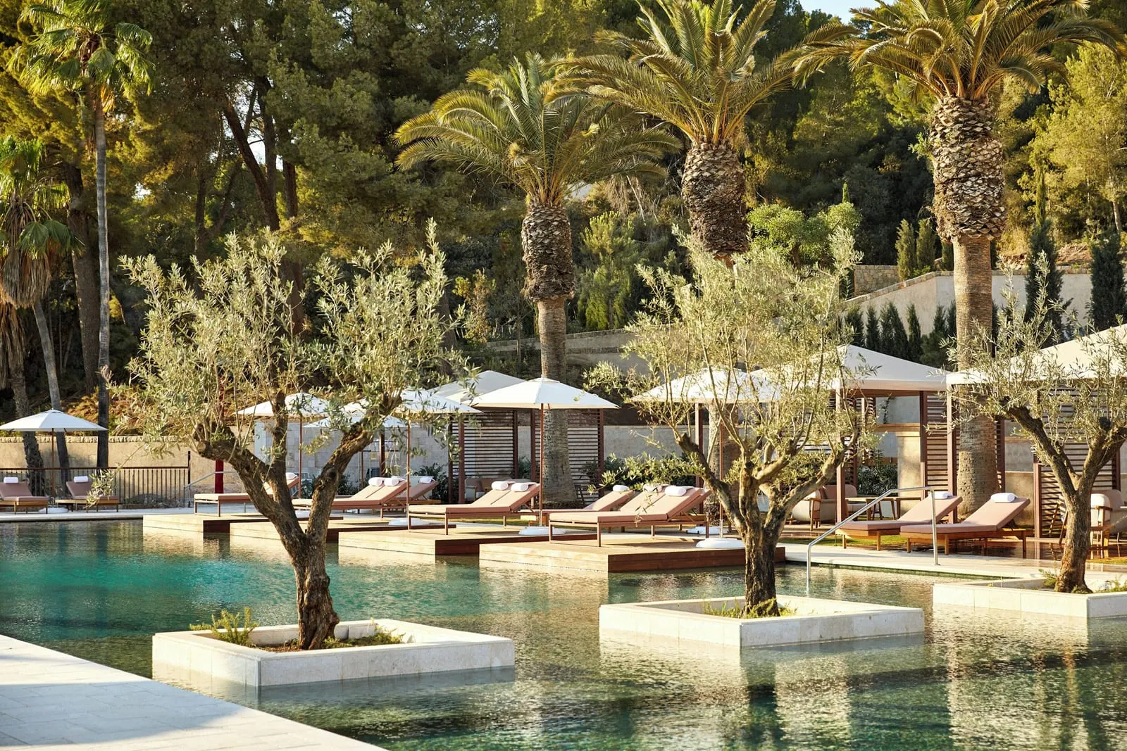 Four Seasons Resort Mallorca at Formentor: The family pool and its olive trees