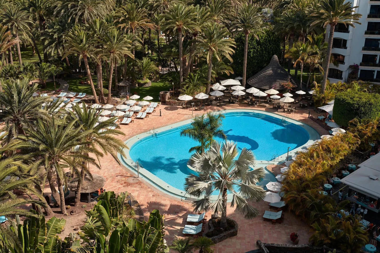 Seaside Palm Beach: The main pool among the palms
