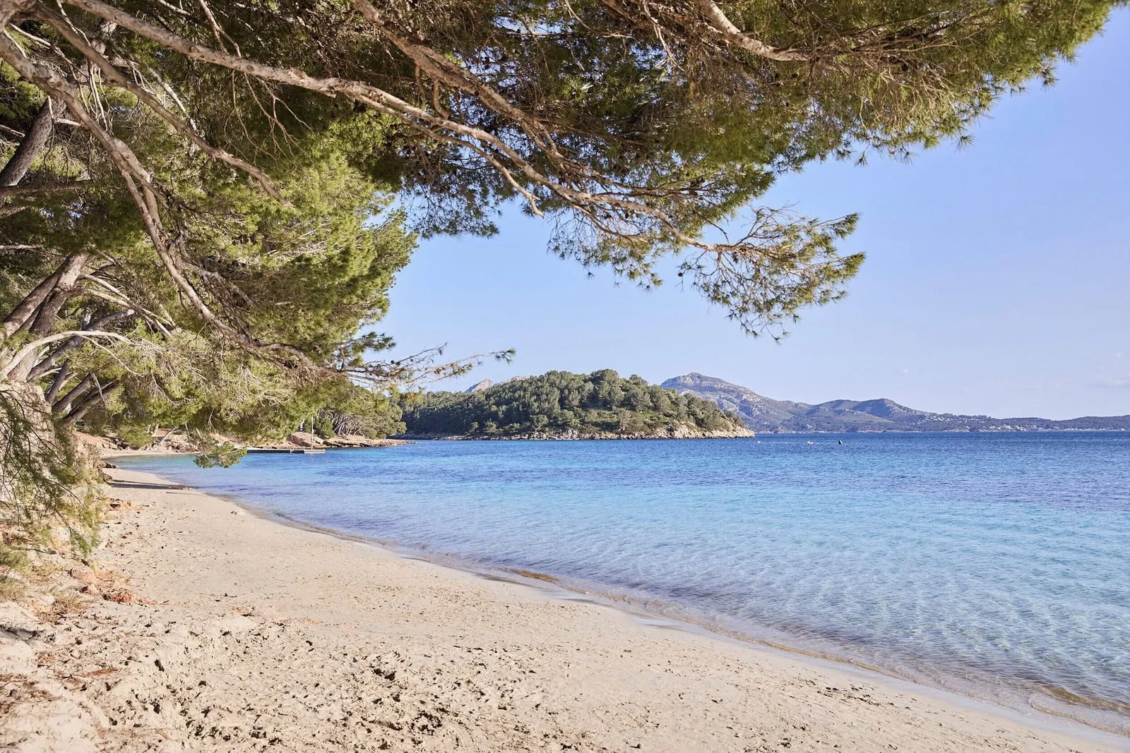 Four Seasons Resort Mallorca at Formentor: Pine-shaded sand on Formentor beach