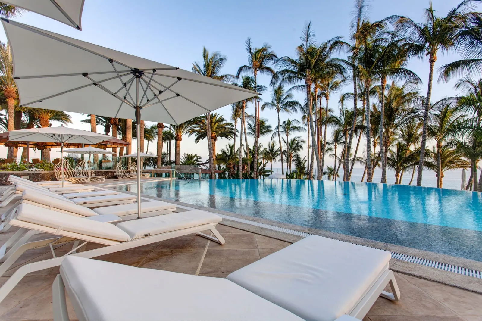 Hotel Fariones: The infinity pool among the palms