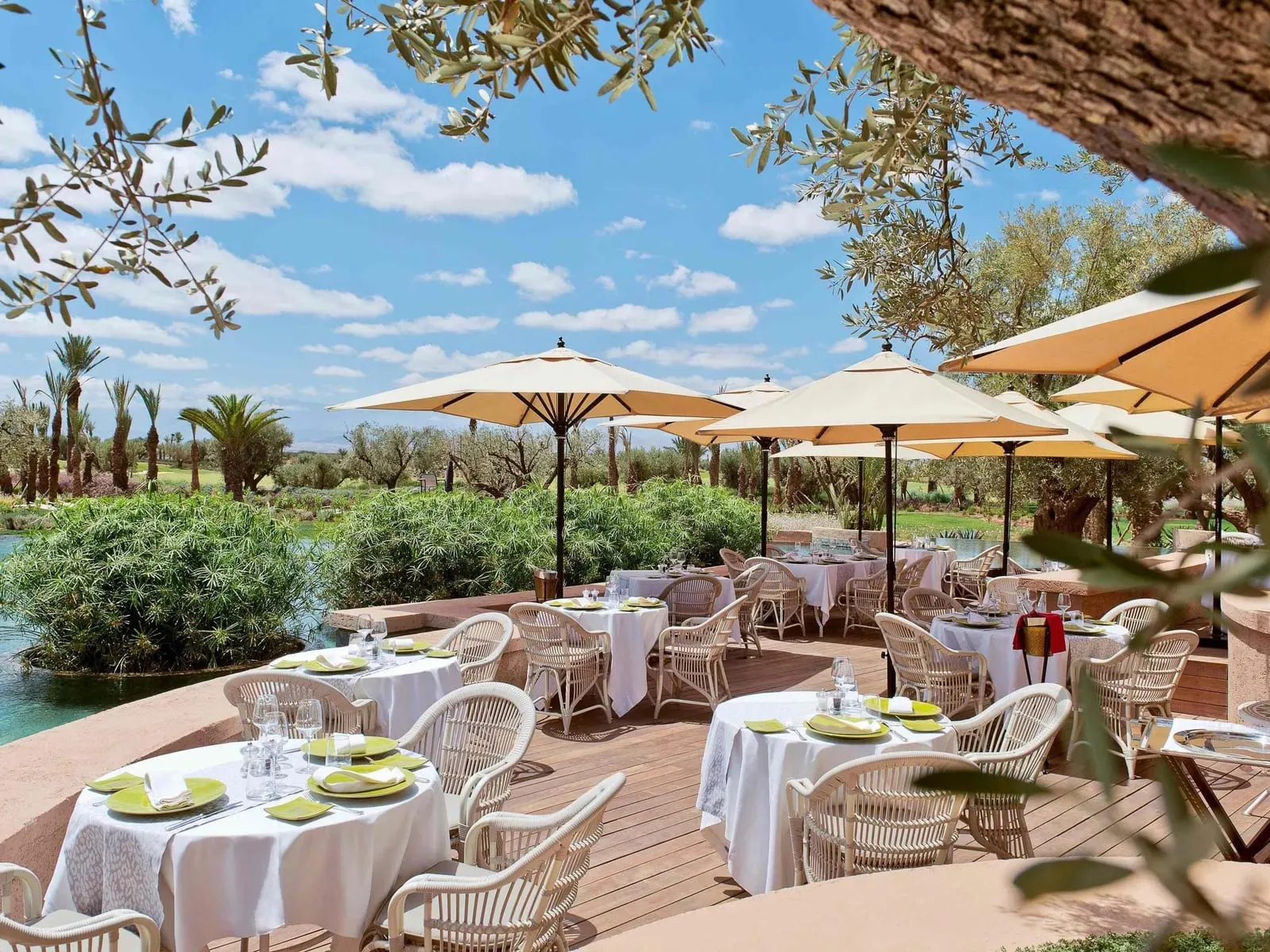 Fairmont Royal Palm Marrakech: Lunch tables on a terrace among olive trees