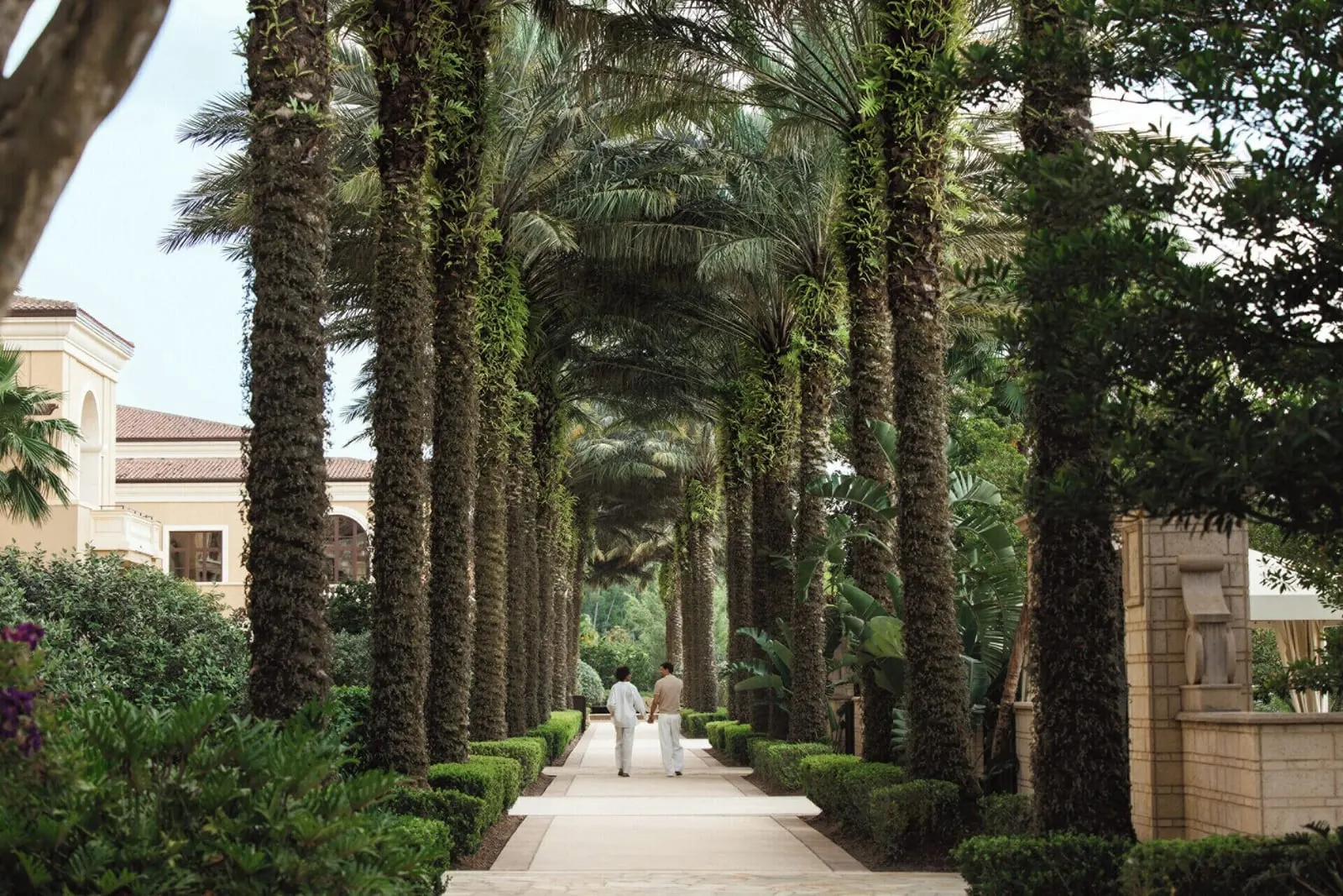 Four Seasons Resort Orlando at Walt Disney World Resort: A palm-lined walk through the grounds