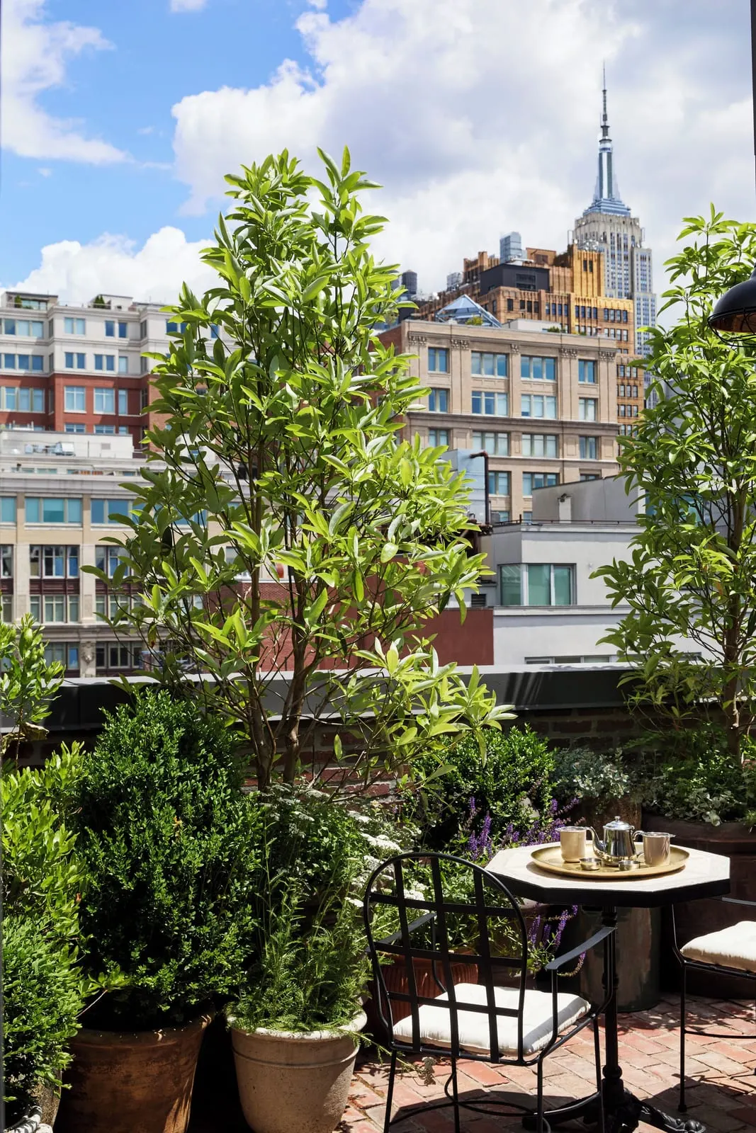Hotel Chelsea: The roof garden
