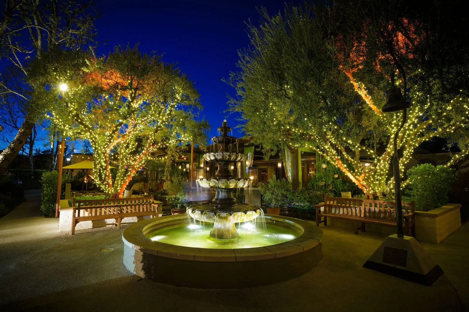 The Garland: The fountain under lit trees at night