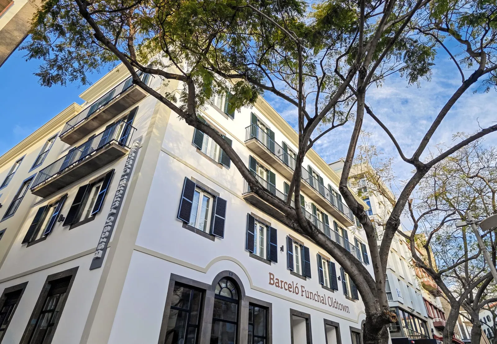 Barceló Funchal Oldtown: The hotel's white façades under the trees