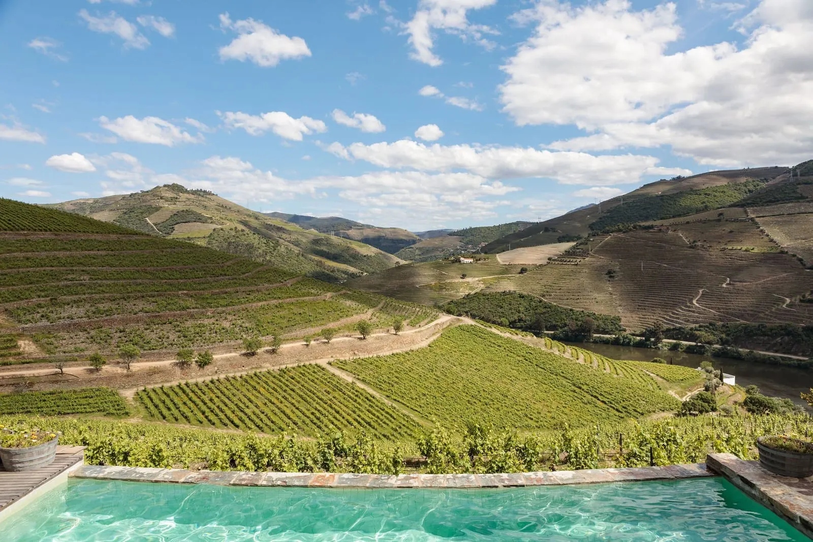 Quinta Nova Winery House: The pool in the terraced vines