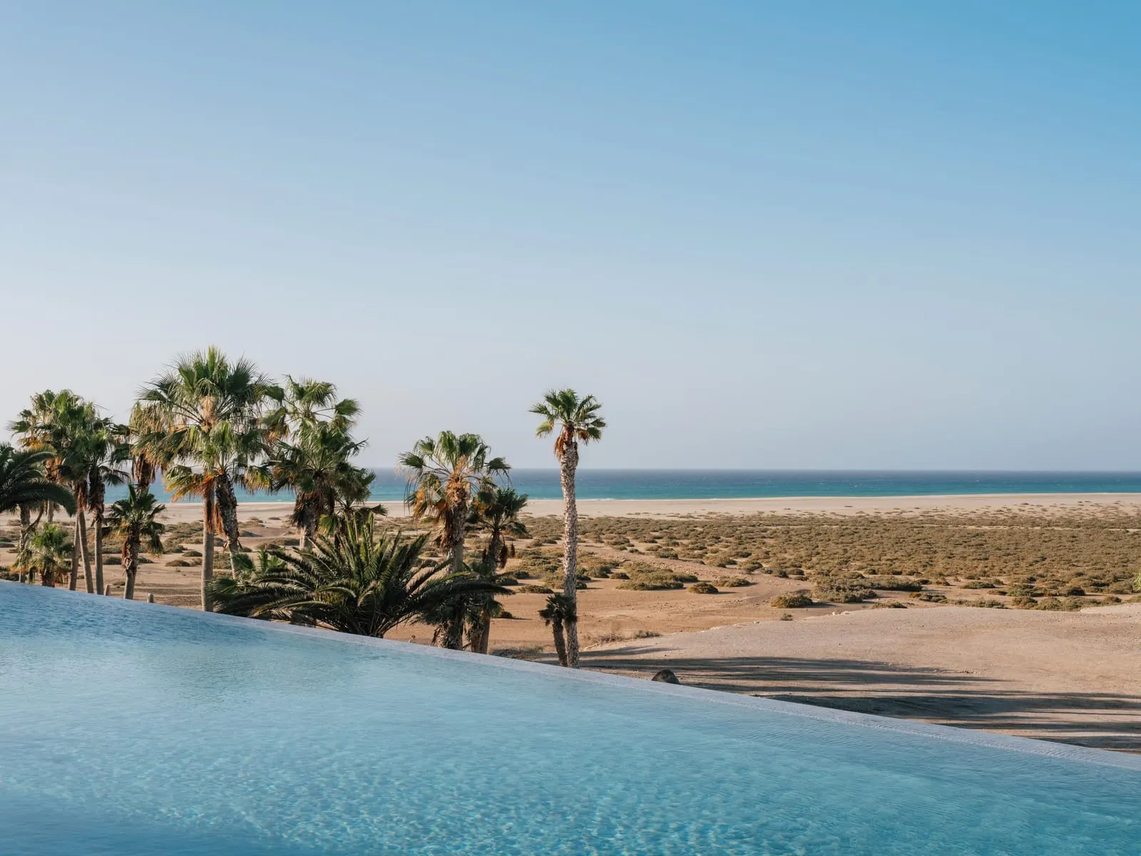 ZEL Fuerteventura: The infinity pool facing the Atlantic