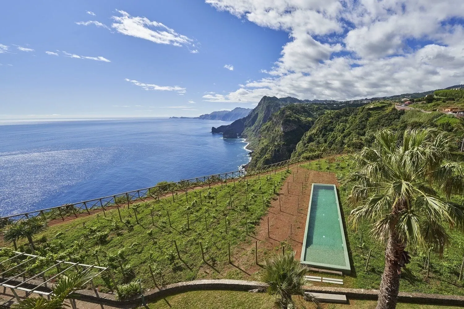 Hotel Quinta do Furão: The outdoor pool among the vines