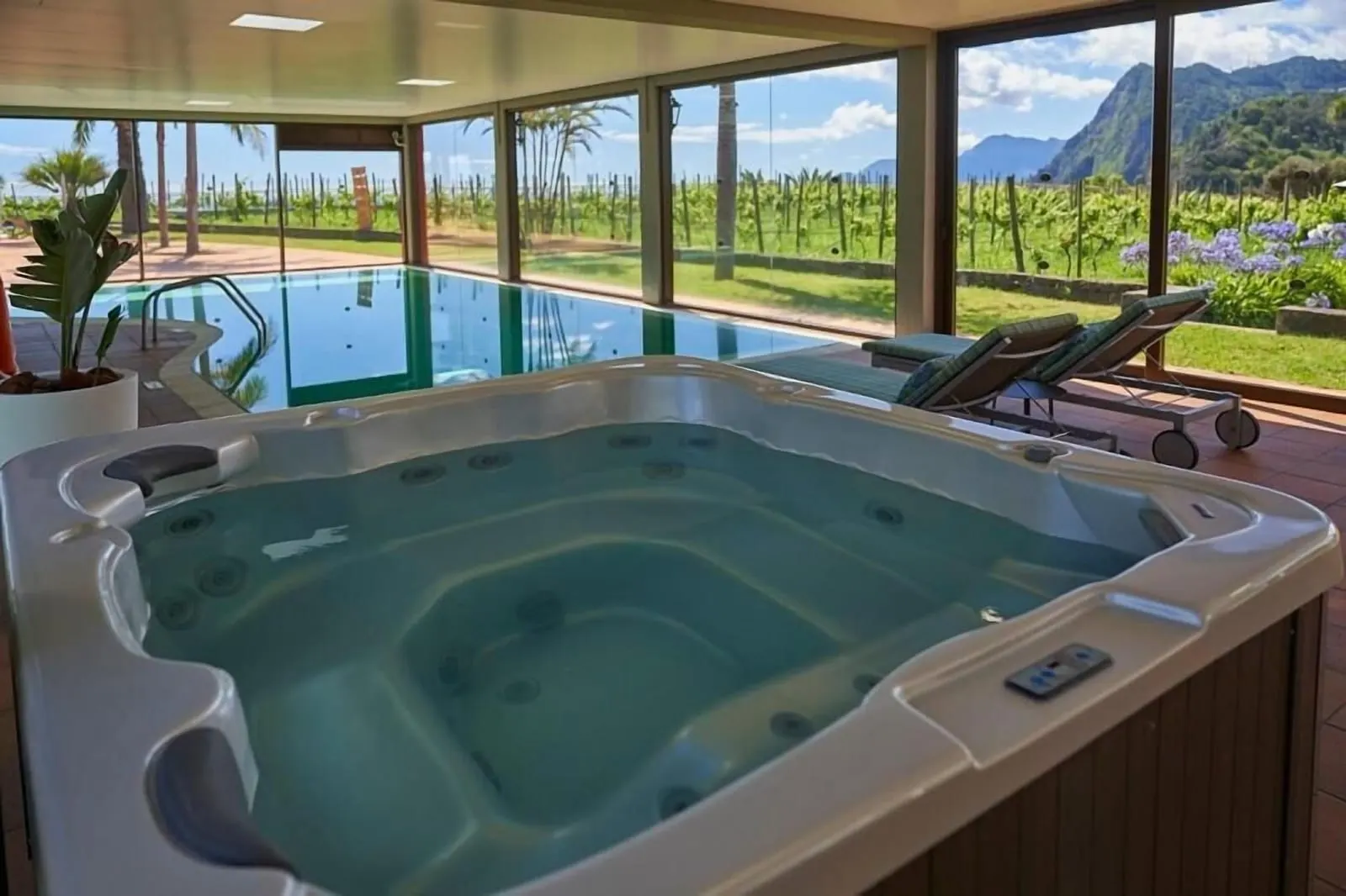 Hotel Quinta do Furão: The indoor pool and jacuzzi facing the vines