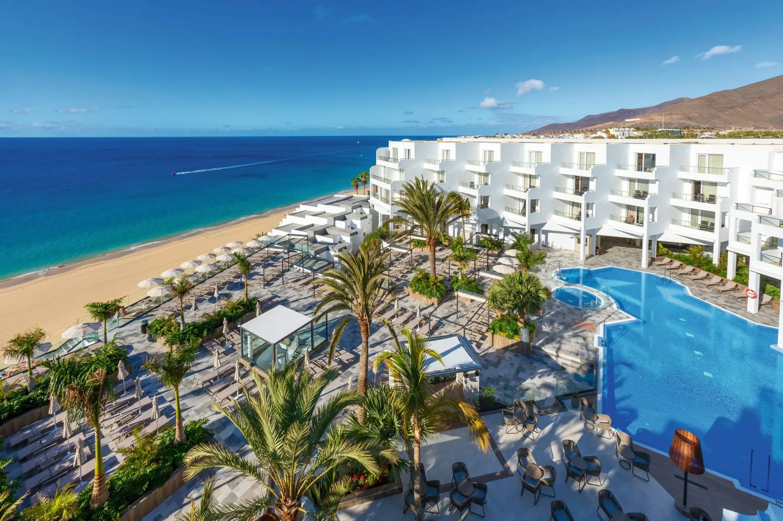 Fuerteventura: palms and the long white sand of Playa del Matorral at Morro Jable