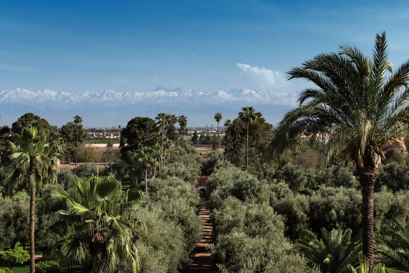 La Mamounia: The gardens with the Atlas beyond