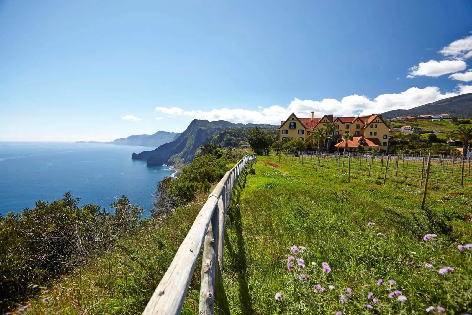Hotel Quinta do Furão: The quinta and its vines on the north coast