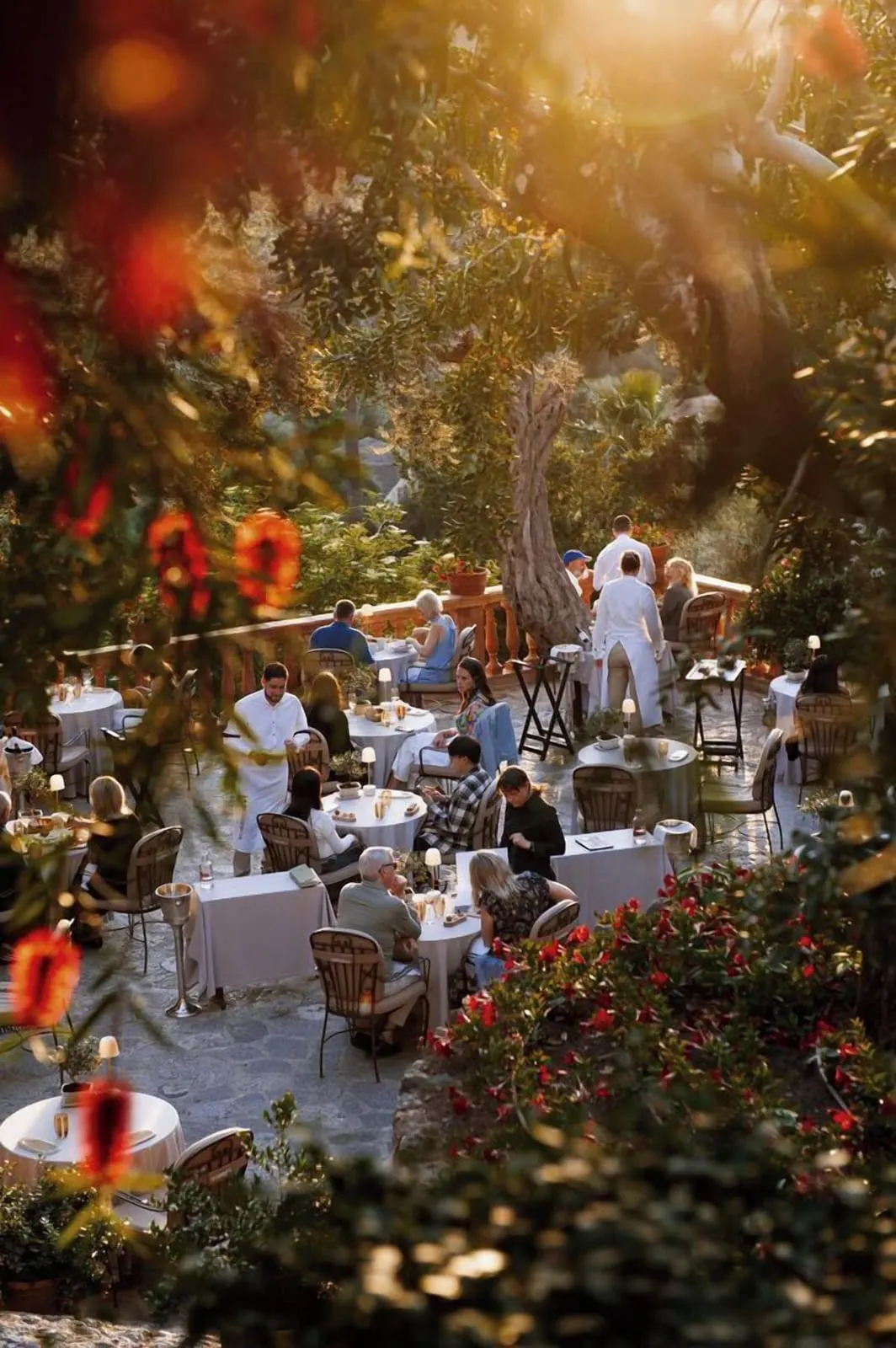 La Residencia, A Belmond Hotel: Dinner on El Olivo's terrace among the olive trees