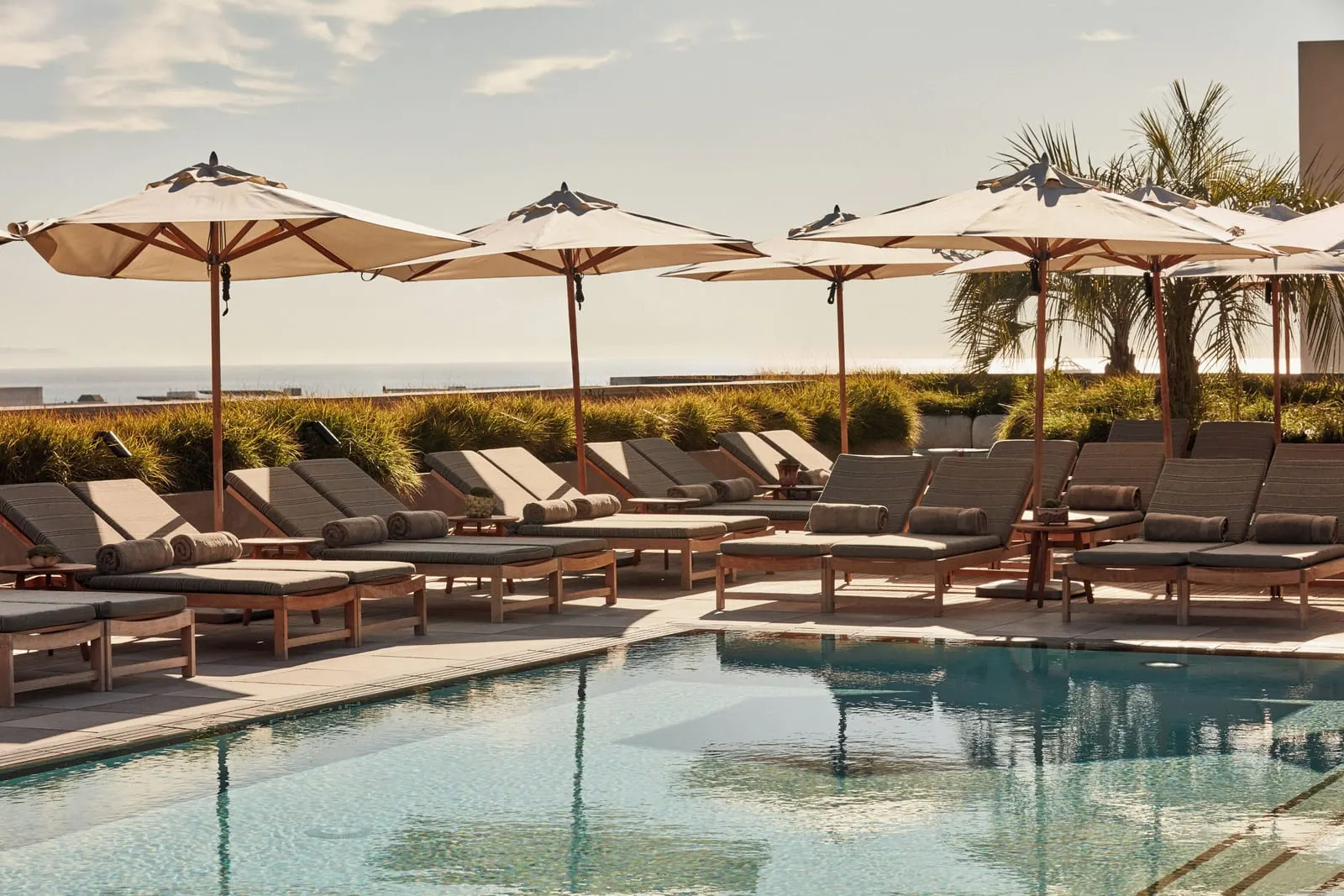 Santa Monica Proper Hotel: The rooftop pool and its loungers