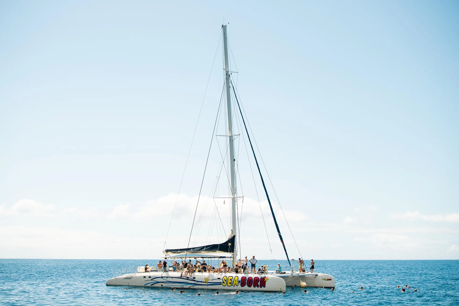 The Sea Born catamaran stopped at sea while passengers swim around it