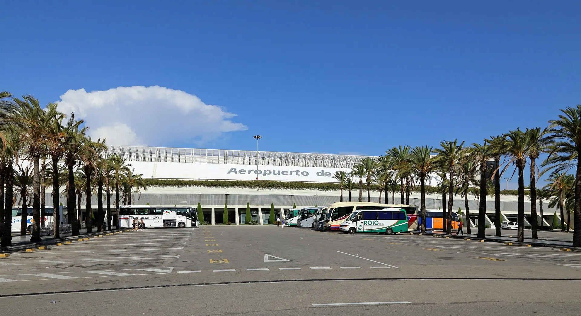The main terminal at Palma de Mallorca Airport behind a line of palm trees and coaches