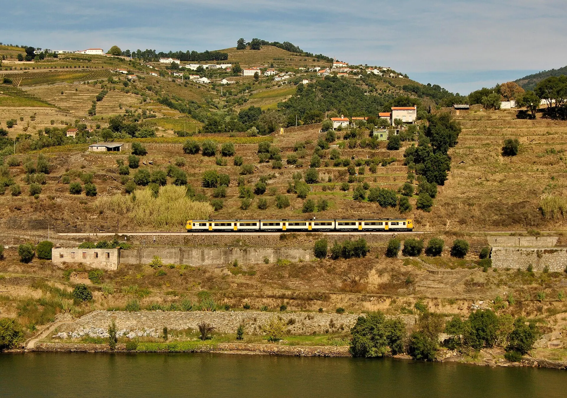 A CP InterRegional train on the Douro line running along a terrace above the river, with vineyards and white houses climbing the hillside.
