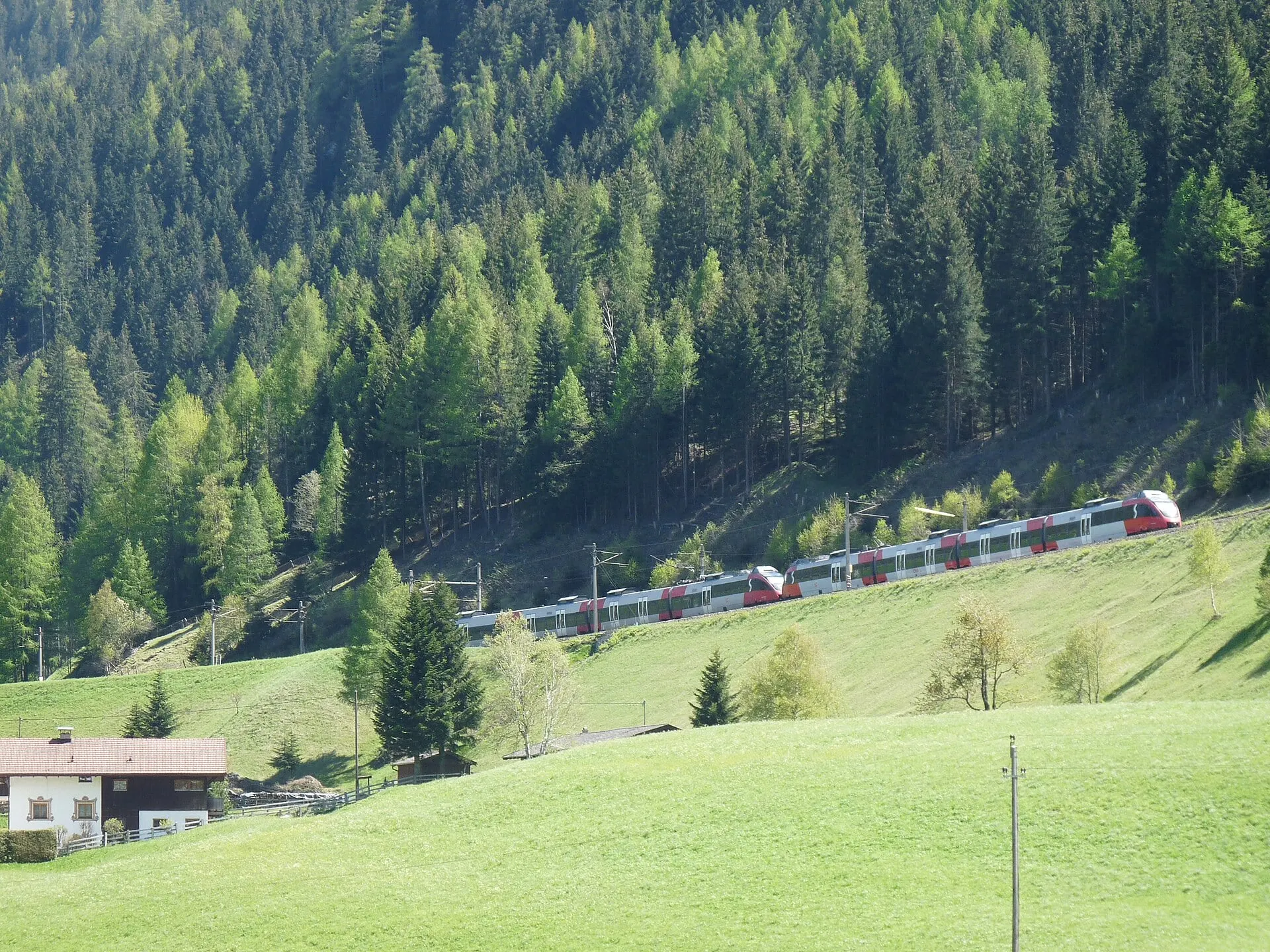 A train on the Brenner railway crossing green meadows below the forest near St. Jodok