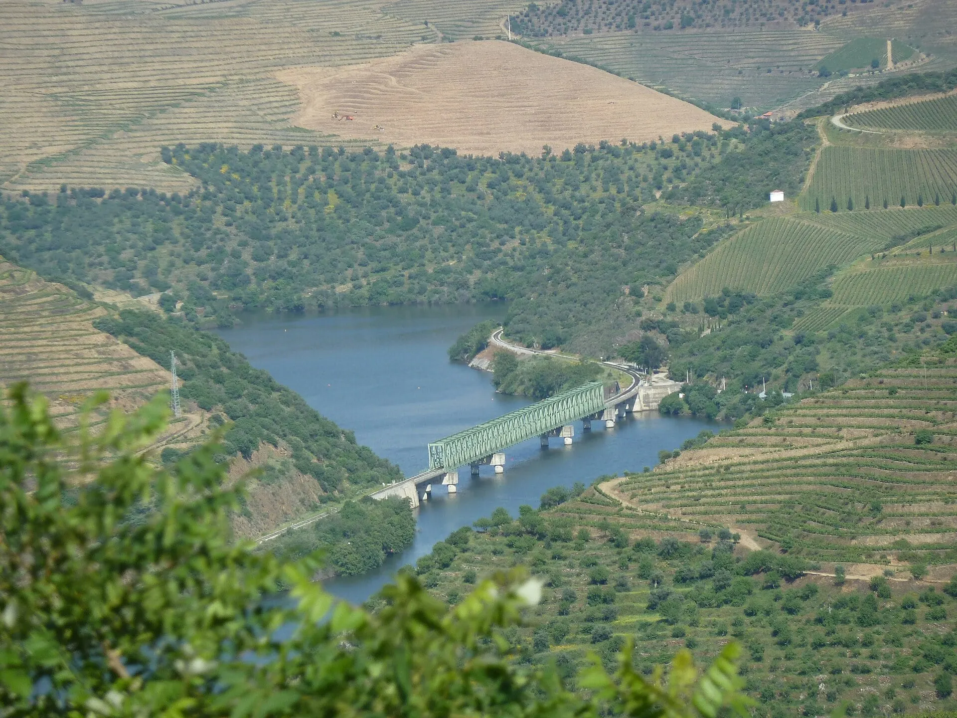 El puente ferroviario de Ferradosa lleva la línea del Duero sobre el río entre viñedos en bancales.